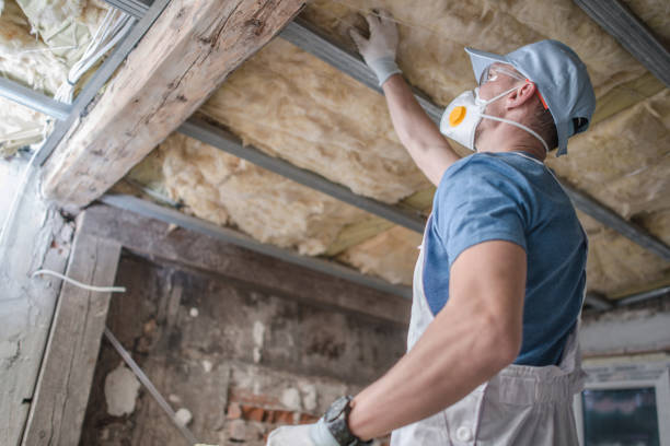 Best Professional Insulation Contractor  in Cheval, FL